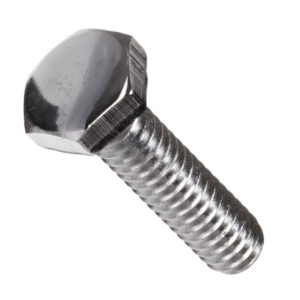 Bolt Chromium Plated 18X100